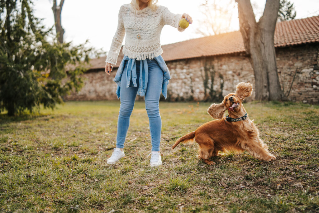 Woman training her dog outside