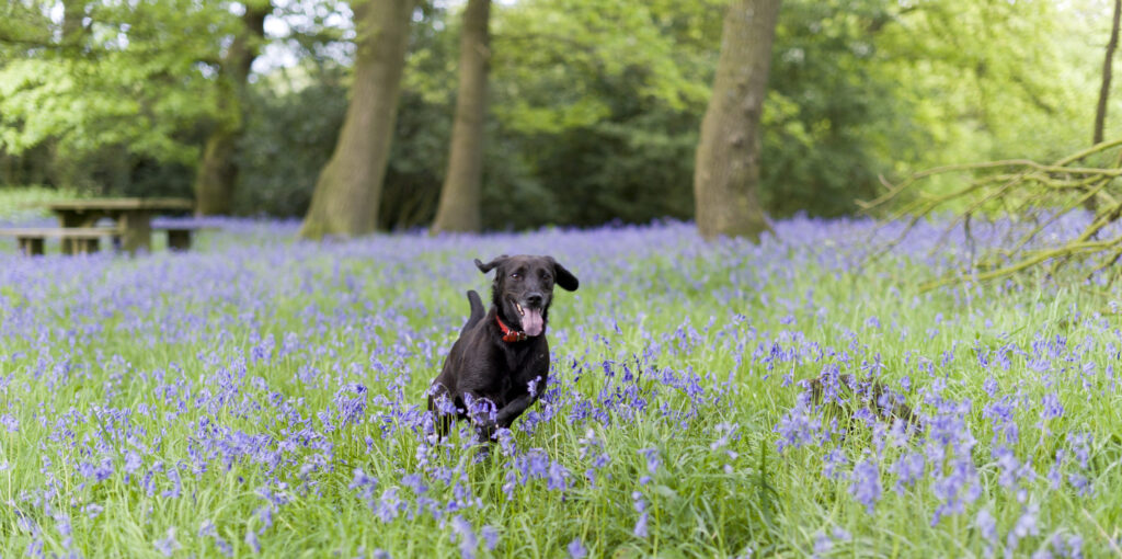 Having fun in springtime 