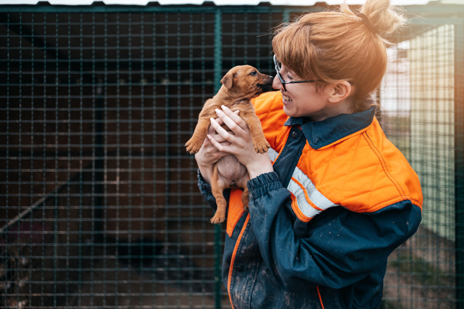 Young adult woman working and playing with adorable dog in animal shelter